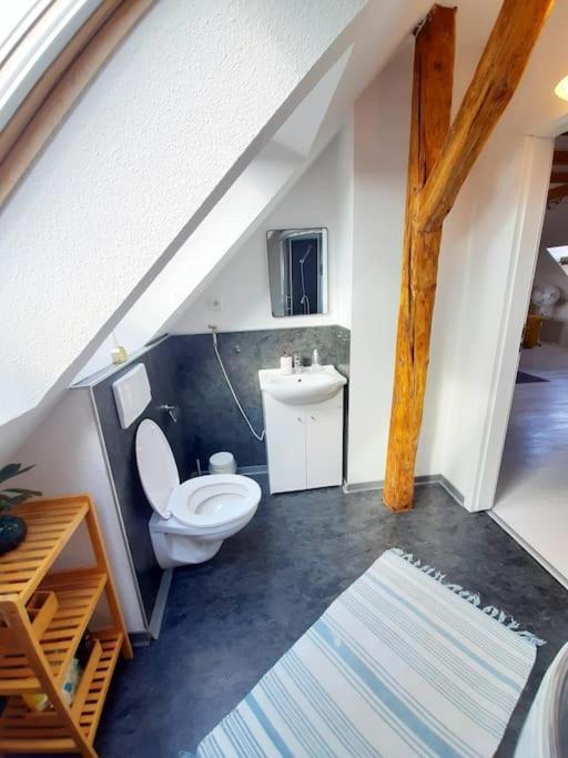 Gemuetliche Wohnung In Burg Burg bei Magdeburg Ngoại thất bức ảnh